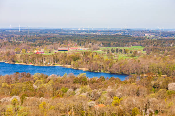 istock Rural landscape view at a lake in spring 1293138340