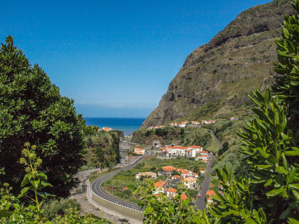 istock Landscape of Madeira 1293147347