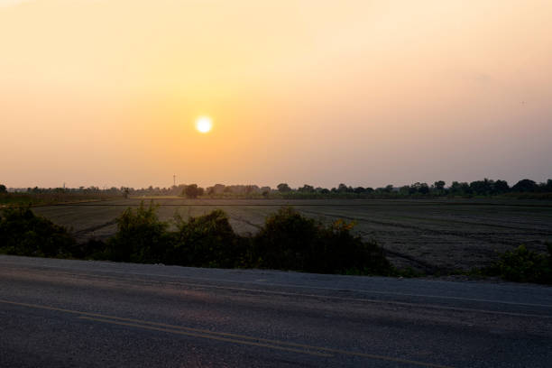 istock road cornfield thailand Evening,Beautiful nature concepts 1293148111