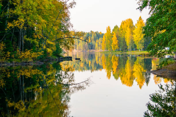 The Dal river in Sweden, in autumn colors. Vibrant colorful trees along the riverbank and the blue sky with a white cloud, reflecting in the calm and shiny water