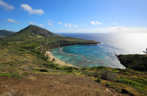 istock Oahu shore with Hanauma bay 1293152063