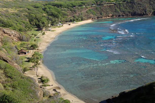 istock View at Hanauma Bay beach 1293152065