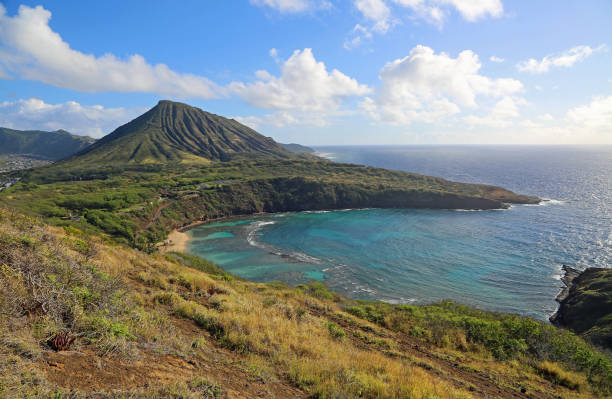 istock Volcanic coast of Oahu 1293152618