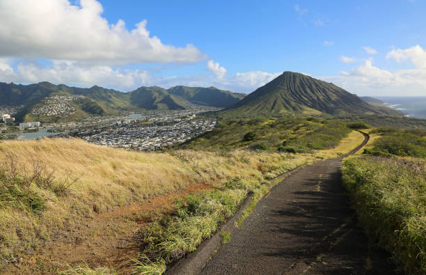 istock The ridge trail and Hawaii kai 1293152695