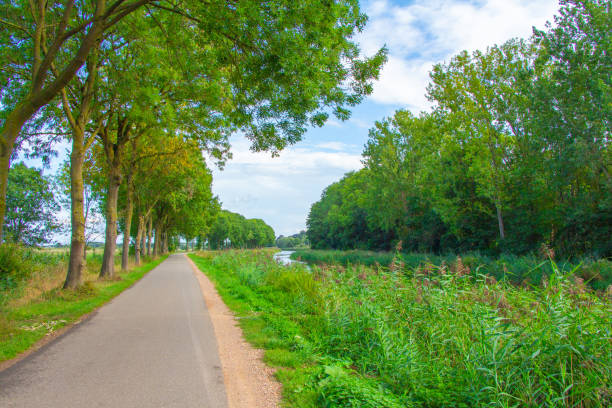 istock road next to Dutch polder landscape 1293153923