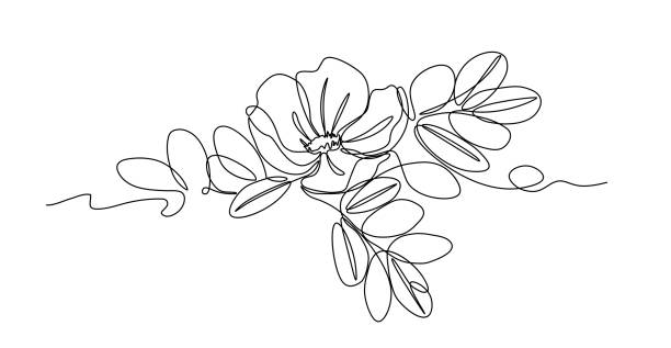 ilustraciones, imágenes clip art, dibujos animados e iconos de stock de flor de rosa silvestre con hojas, elemento de arbusto espinoso, adorno, patrón para el logotipo o emblema - rosa salvaje