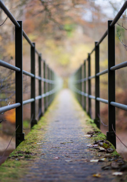 istock Iron railings and bridge crossing a river in Autumn time, with selective focus effect to vanishing point 1293155682