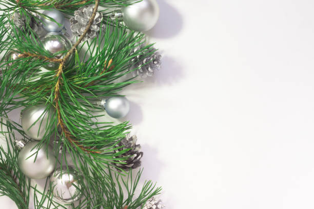 istock Light Christmas background with silver balls, cones and pine branches on a white background 1293158312