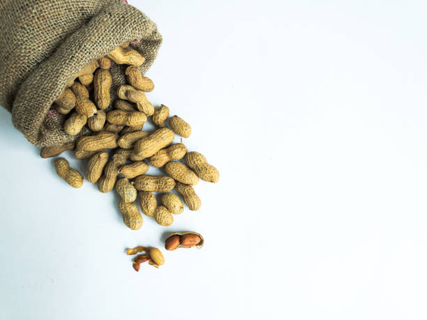 istock Heap of peanuts in sack bag on an isolated white background with copy space. 1293158818