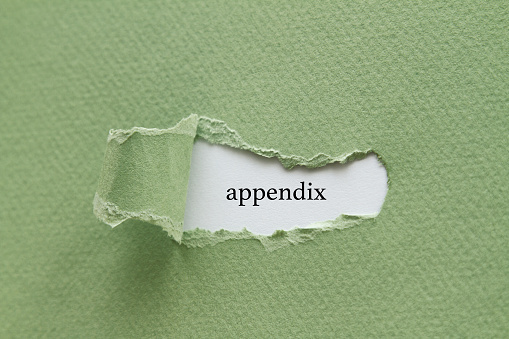 Appendix written under torn paper.
