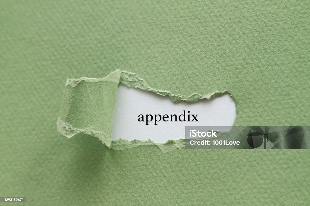 Appendix Paper Photos Appendix Stock Photo - Download Image Now - Appendix, Business ...