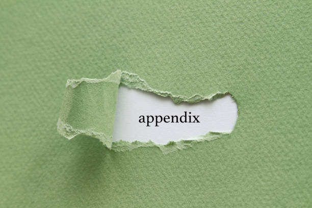 Appendix stock photo