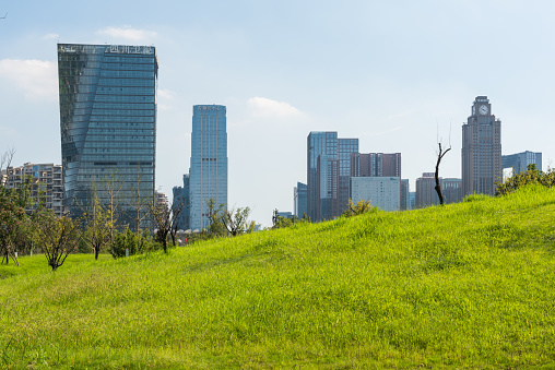Chengdu, Sichuan province, China - Aug 26, 2020 : Skyscrapers with grass in the foreground on a sunny day with clear blue sky