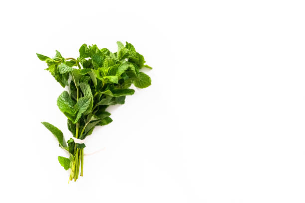 istock Fresh mint from the organic garden on a white background. 1293162626