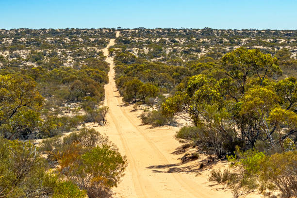 istock The way ahead ahead: desert track, hot, dry, sandy, remote wilderness 1293163663