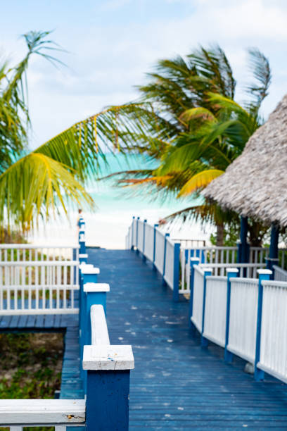 istock Cuba. Sea, sun and sand. 1293165791