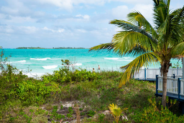 istock Cuba. Sea, sun and sand. 1293165821