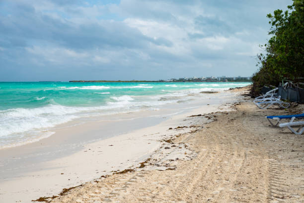 istock Cuba. Sea, sun and sand. 1293165838
