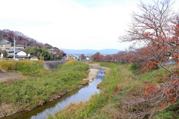 istock Tatsuta River colored with maple leaves in autumn 1293167772