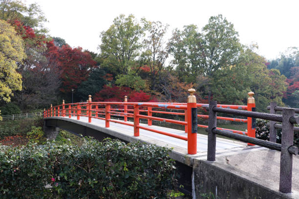istock Red bridge over the river in late fall 1293168451