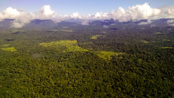 istock The environment being preserved and sustainability 1293168832