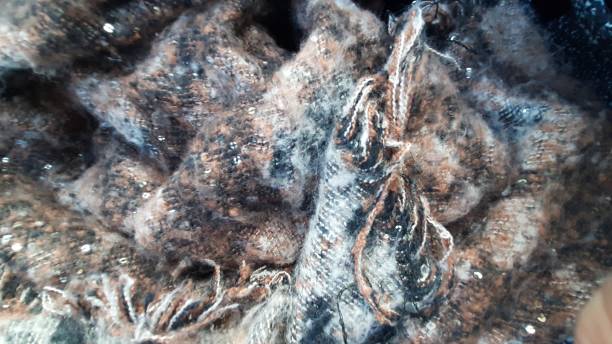 istock Woolen fabric of a scarf 1293170961