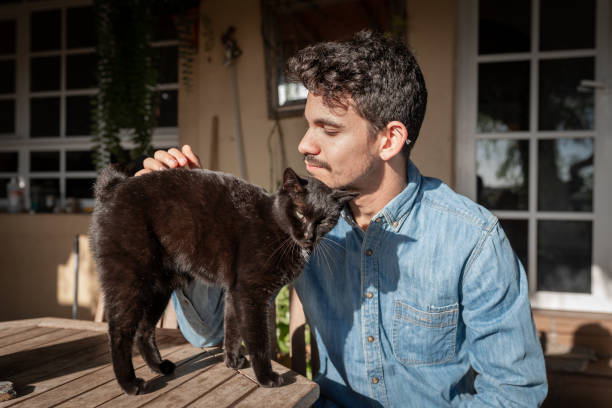 istock black cat approaches a young man with displays of affection. movement 4 1293171613