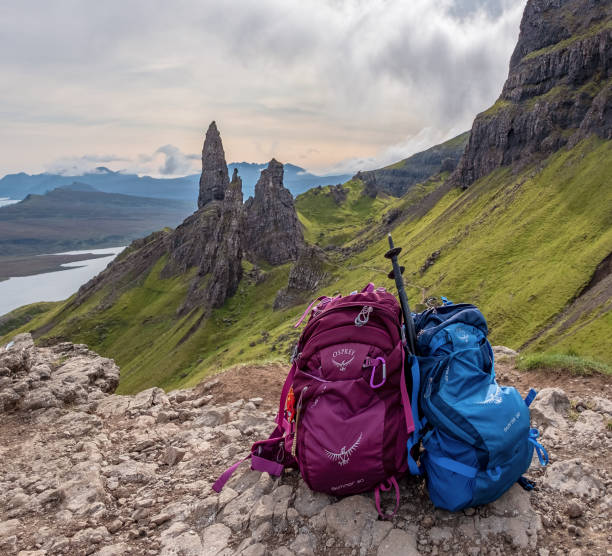 isle of skye - fischadler stock-fotos und bilder