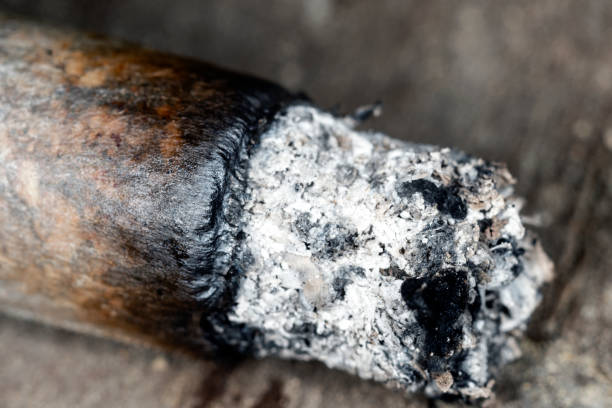 istock Ashes of smoldering cigarettes 1293175818