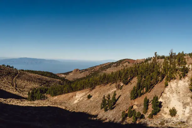 Photo of Panorama view on sea and оld mountain forest on the slope of the high mountains. Blue sky above pine trees. Beautiful day spent on a trekking, Tenerife, Canary Islands, Spain