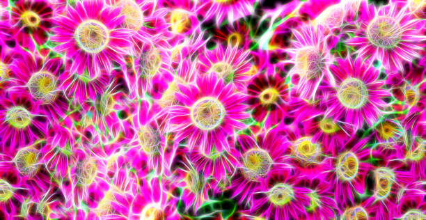 istock Abstract fractal background with pink chrysanthemums 1293182238