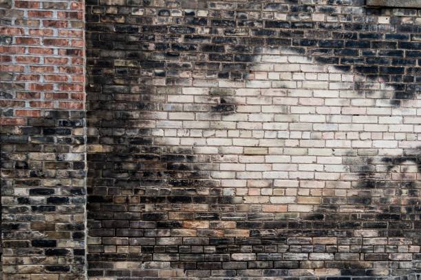istock Brick Wall with Light and Dark Contrast 1293182394