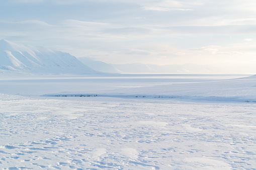 The coast of Spitsbergen