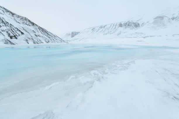 Main reason glaciers have begun to melt is because of human activity. The rising temperature of the Earth is the primary reason glaciers have started to melt more, and this climate change can be directly tied back to human activity. Glaciers are practically on the edge of extinction. \nCarbon dioxide emissions are one big culprit. The mass amounts of CO2 and other greenhouse gases produced by human business, transportation, deforestation, and fossil fuel usage, rise into the air where they stop the heat from the sun from bouncing back out to space. As a result, temperatures rise, and glaciers melt.\nAnother reason for ice melt is the warming of the oceans. These large bodies of water absorb 90% of the Earth's total warmth, meaning that sea ice floating in the ocean are subject to higher temperatures and naturally melt as a result.\nHuman activity is not responsible for all the causes of glacier melt. In some areas, complex interactions between wind and ocean circulation patterns have helped to push naturally occurring warm water closer to the edge of the ice. Still, as a result of all the broader climate change effects, glaciers are rapidly melting with huge chunks falling off into the sea, while elsewhere the ice begins to retreat to land. \nThe biggest and most notable impact of these glaciers melting is in the rise of sea level. In total the sea has risen by 2.7 centimeters since the 60s and the world's glaciers still contain enough to raise the ocean by another half a meter, which could directly threaten many cities in coastal regions. As a result of these rising sea levels, coastal erosion has also increased.