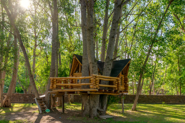 Small wood log playhouse hut with stairs ladder and wooden slide on children playground at park or house yard. Green grass lawn garden and blue clear sky in background on bright sunny summer day.