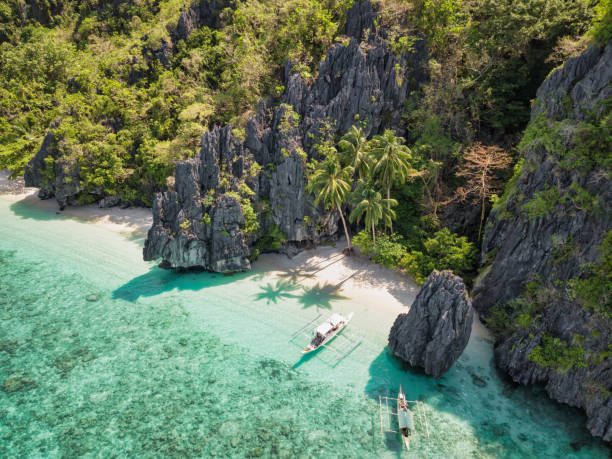 istock Dream Beach Entalula Island Beach Palawan El Nido Philippines 1293186578