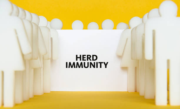 Herd Immunity Human-shaped figures holding billboard. herd immunity photos stock pictures, royalty-free photos & images