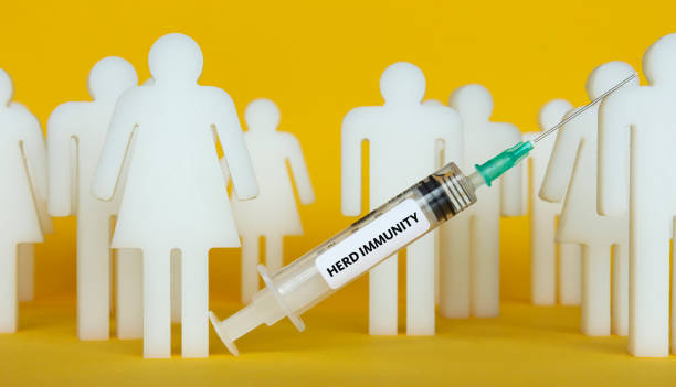 Herd Immunity Human-shaped figures and syringe. herd immunity photos stock pictures, royalty-free photos & images