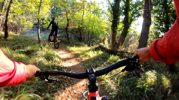 istock Mountain bikers ride along forested path in the morning 1293191237