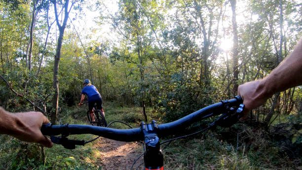 istock Mountain bikers ride along forested path in the morning 1293191272