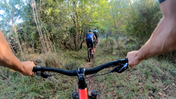 istock Mountain bikers ride along forested path in the morning 1293191279