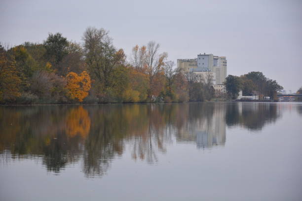 veduta dello schweinfurt principale d'autunno - schweinfurth foto e immagini stock