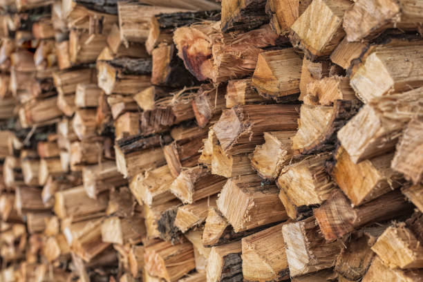 Hickory Logs Stacked stock photo