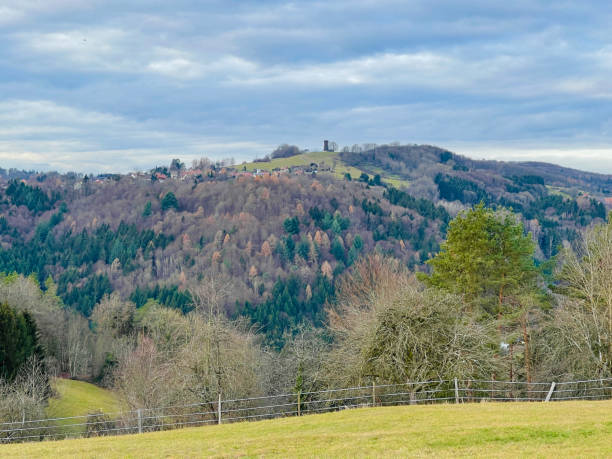 istock December landscape in the mountain, mixed forest 1293194802