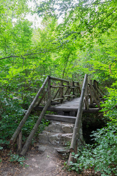 istock Details from wood and stone bridge 1293195424