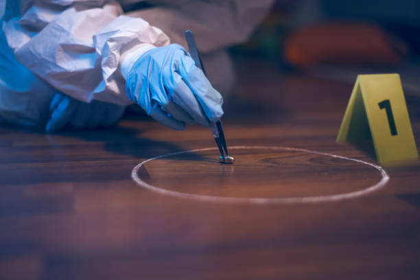 Forensic scientist working at the crime scene. A 9mm bullet collecting with tweezers on the floor. stock photo