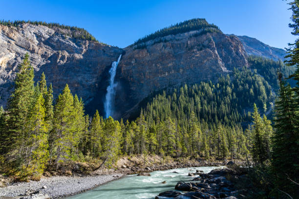 istock Yoho River flows through the forest over the Takakkaw Falls in a sunny summer day. Yoho National Park, Canadian Rockies. 1293203008