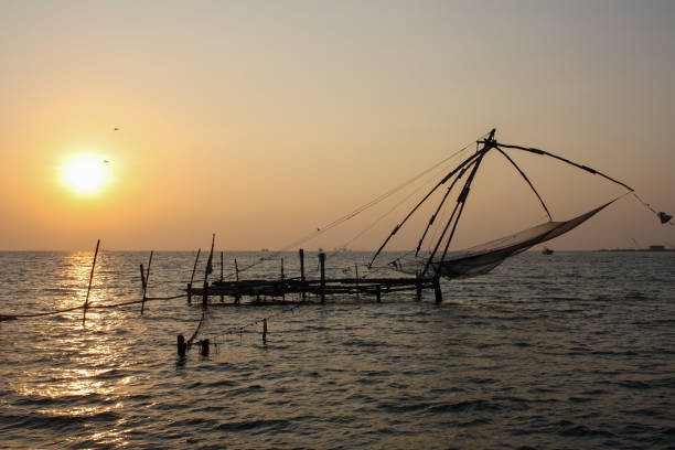 istock Fishing Nets in Cochin, India 1293203987