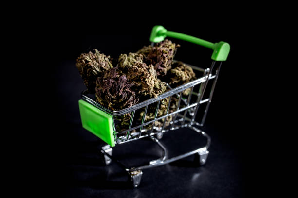 istock buying medical cannabis buds cbd 1293205007