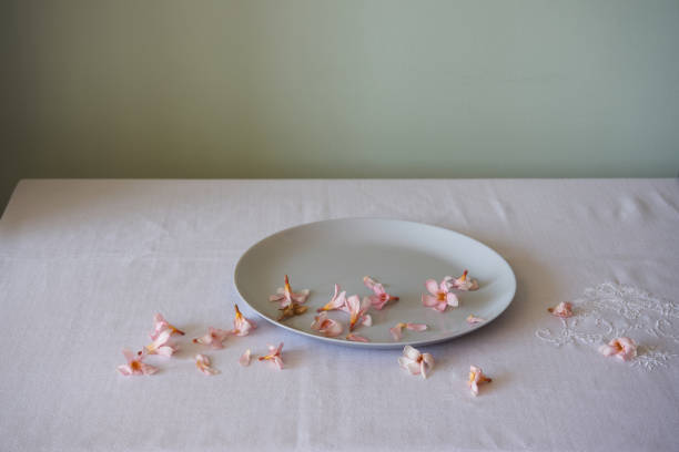 still life of pink oleanders on a plain white plate